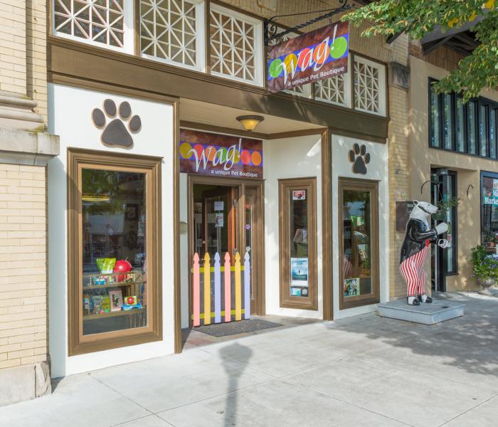 Wag! A Unique Pet Boutique