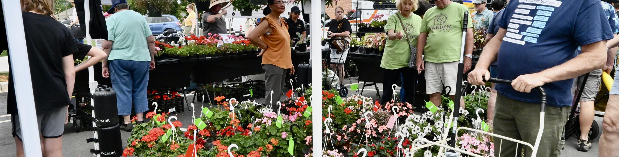 shopping at Garden Jubilee