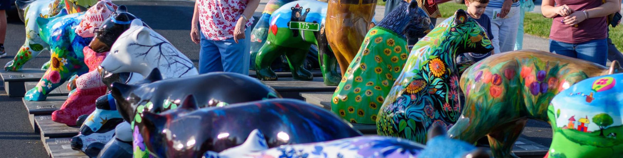 2025 Bearfootin Bear Reveal