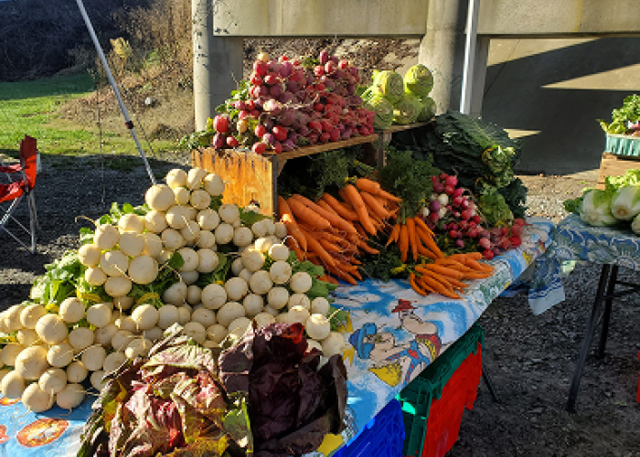 Start/Stop Water & Sewer Service