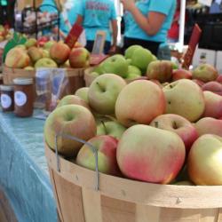 Apple Festival