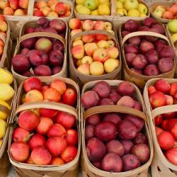 Apples