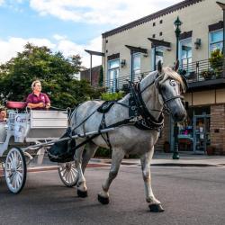 Carriage Ride