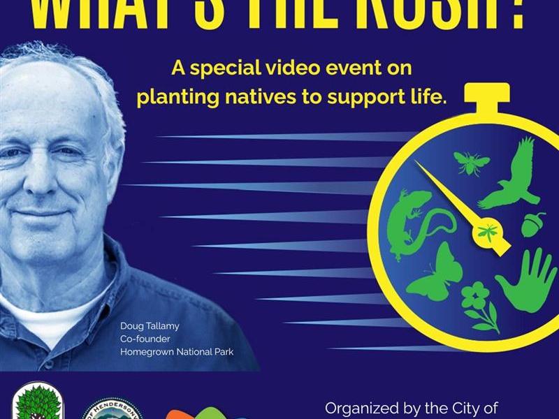 Man and a stop watch logo with text "What's the Rush"