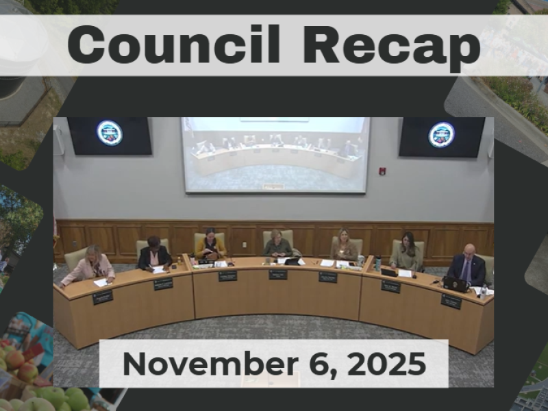 City Council members are seated around a curved dais. 