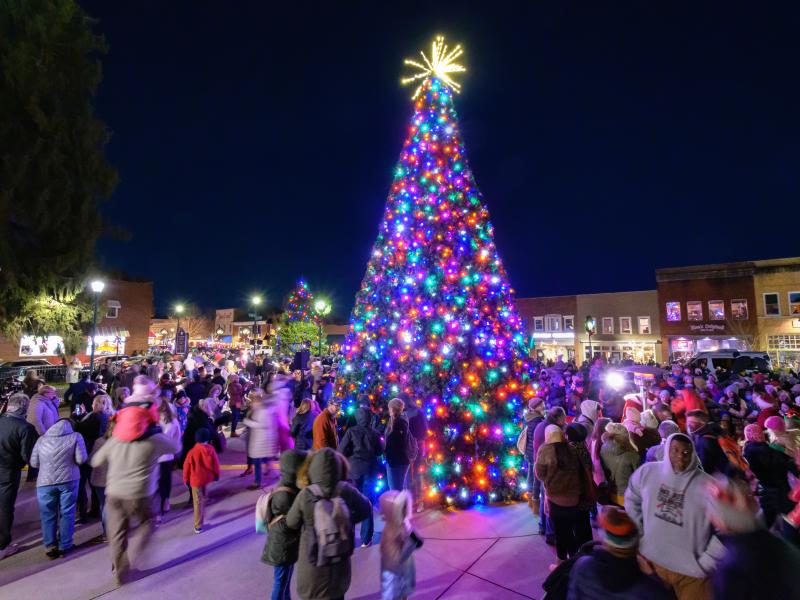 Holiday tree lit up on the Historic Courthouse Plaza