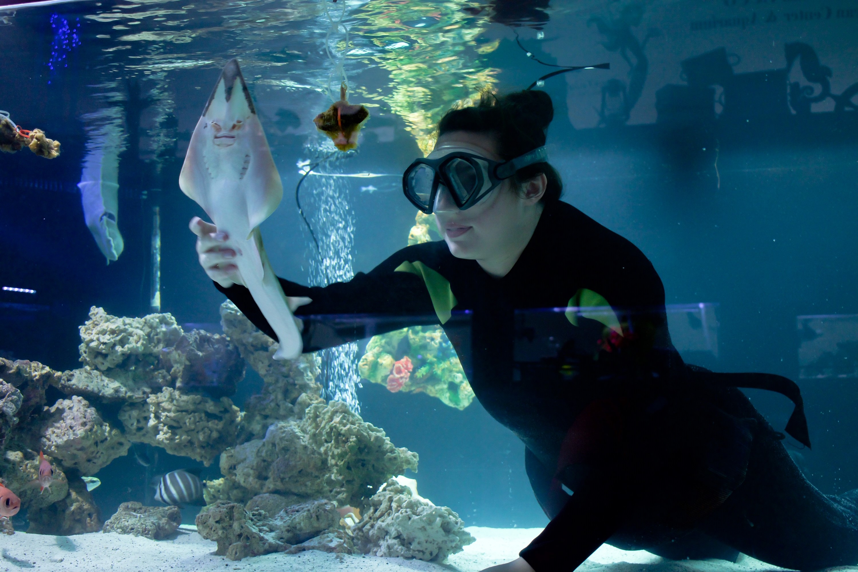 Aquarium & Shark Lab by Team ECCO