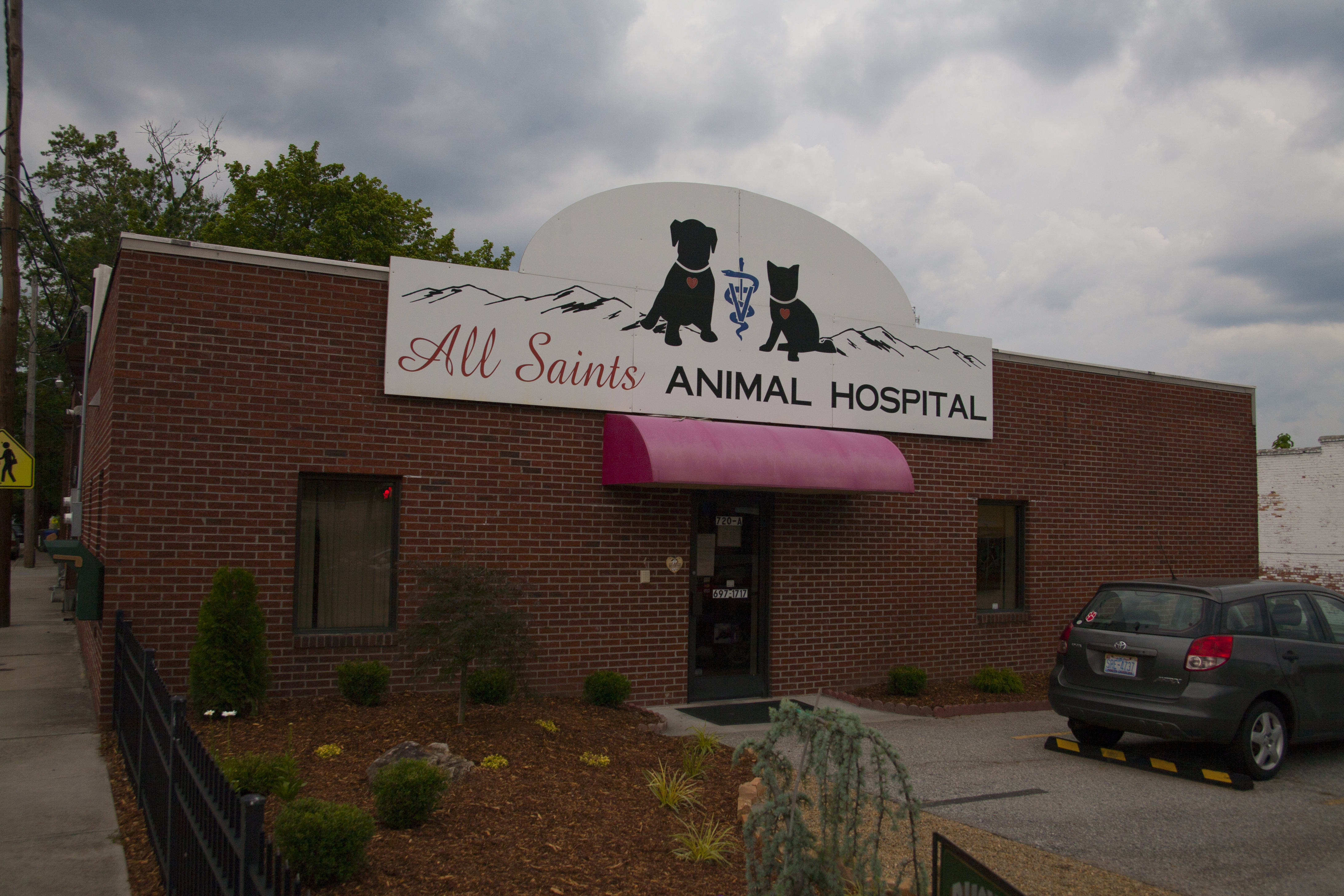 All Saints Animal Hospital