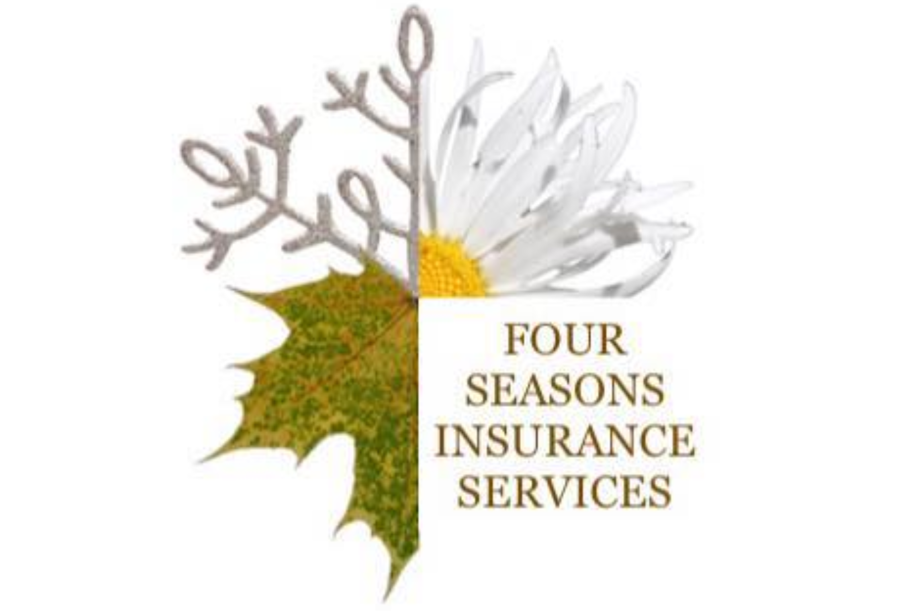 Four Seasons Insurance Services Inc.