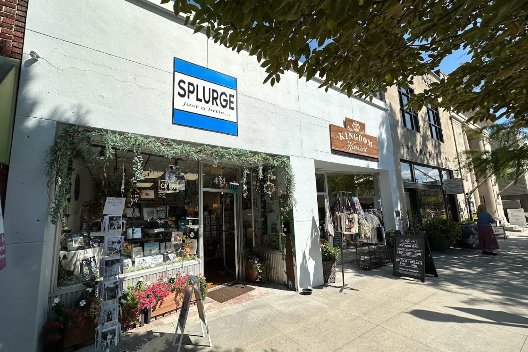 Splurge