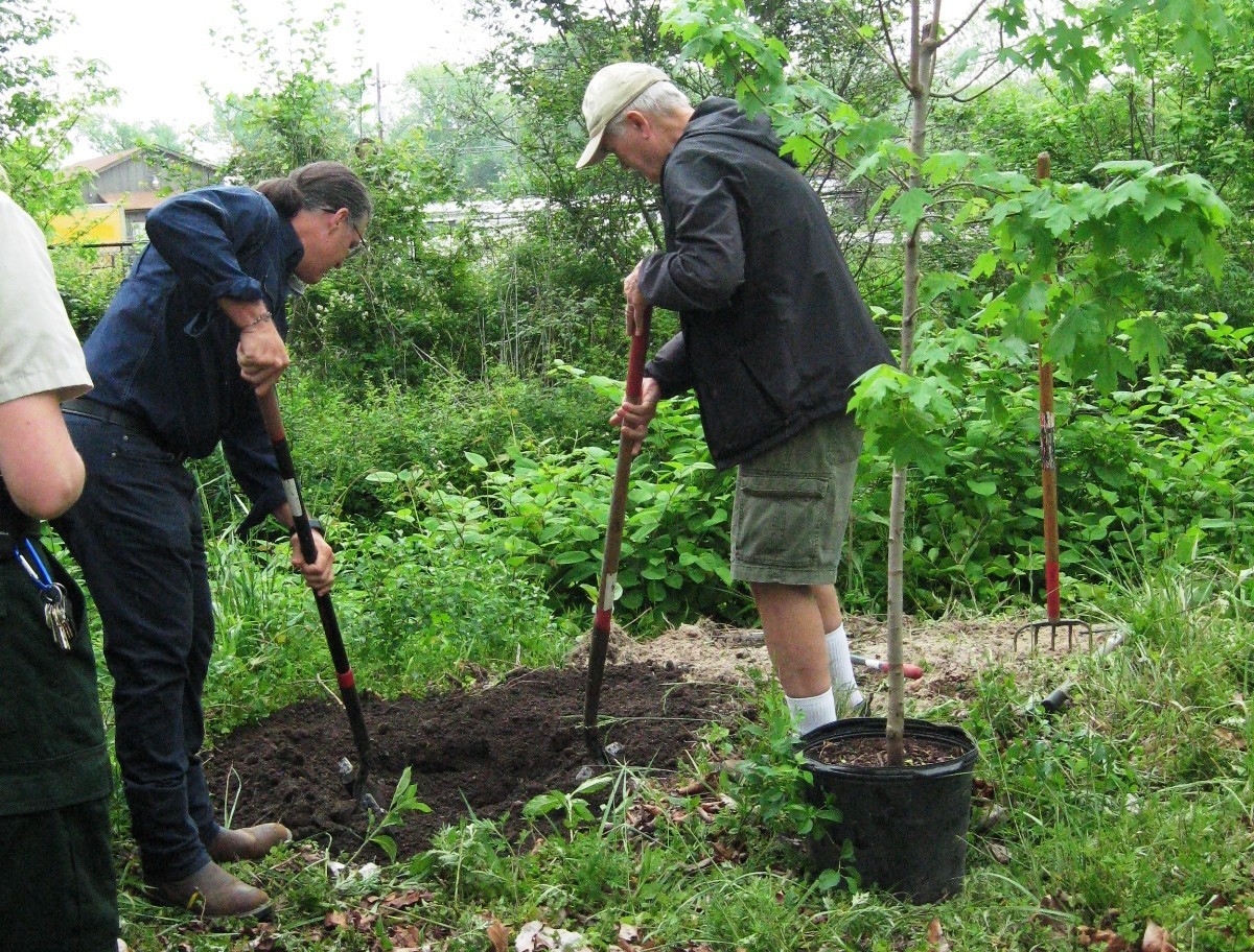 people planting a tree