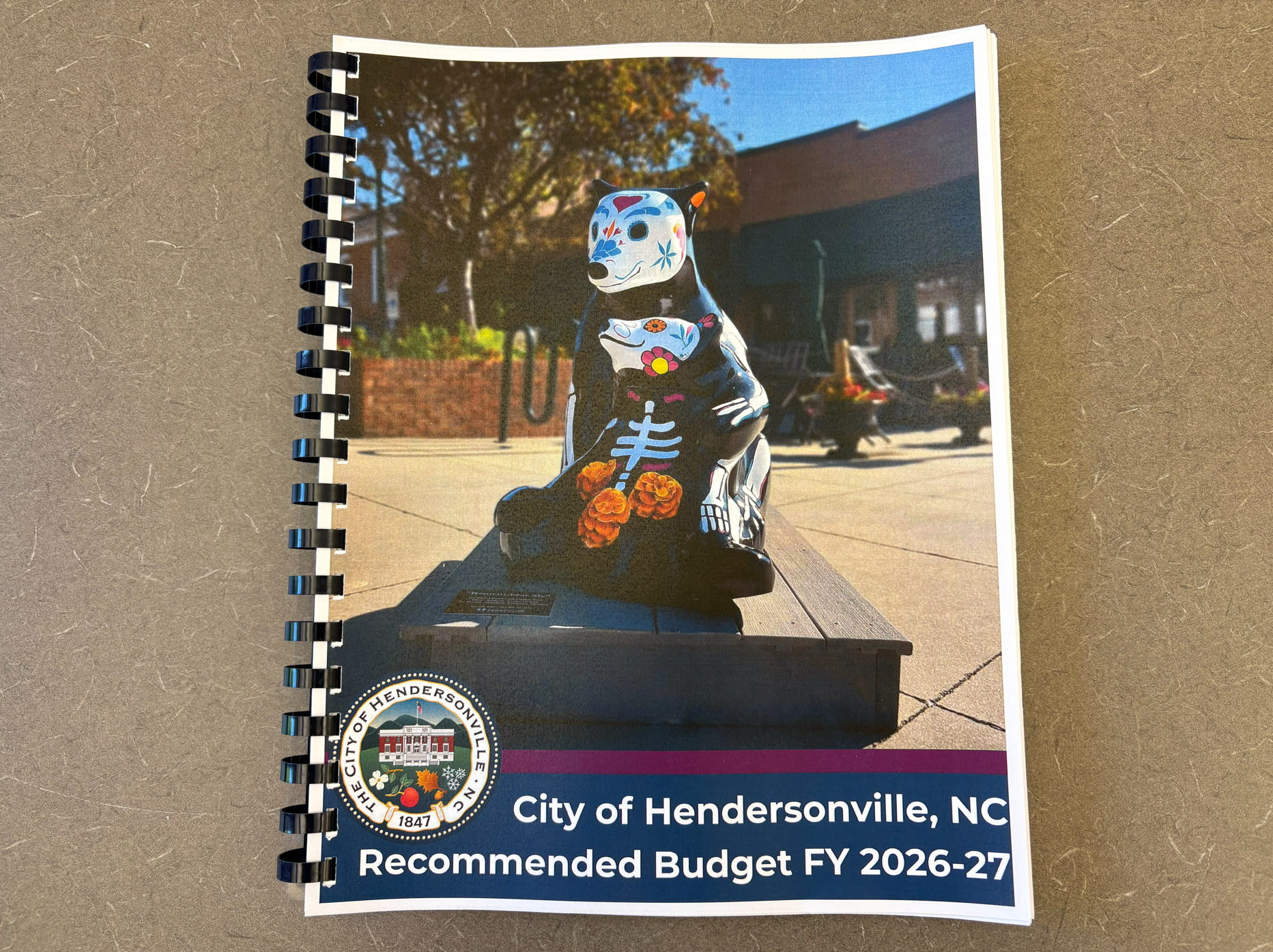 Book with photo of a bear statue on the cover
