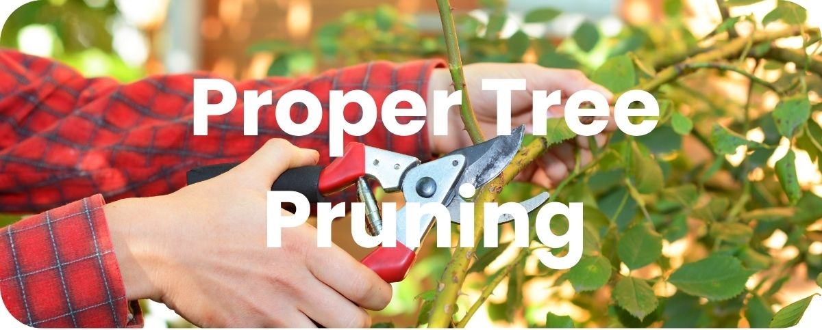 Tree pruning resource