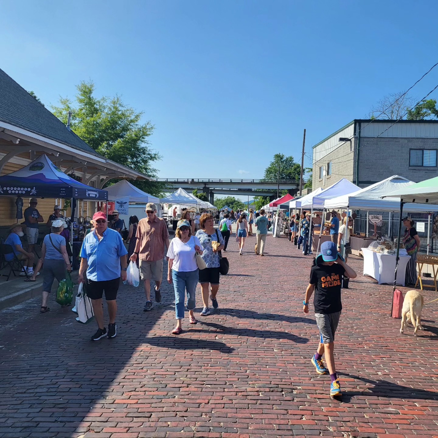 Hendersonville Farmers Market day with visitors walking around 