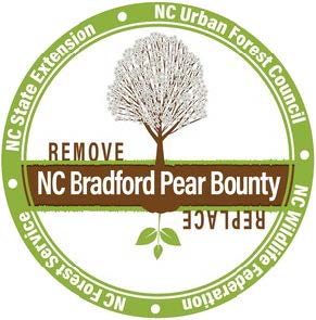 Bradford Pear Bounty Logo with Tree and sapling graphic
