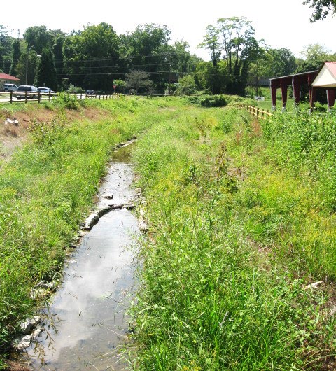 Outdoor Stream